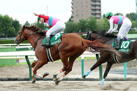 【エルムS】ペイシャエスがゴール前で差し切りV！重賞３勝目