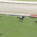 【土曜新潟4R新馬戦】シンフォーエバー&戸崎騎手がキタ━━━━(゚∀゚)━━━━!!
