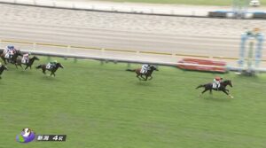 【土曜新潟4R新馬戦】シンフォーエバー&戸崎騎手がキタ━━━━(゚∀゚)━━━━!!