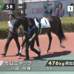 【日曜中京5R新馬戦】カムニャック&川田騎手がキタ━━━━(゚∀゚)━━━━!!