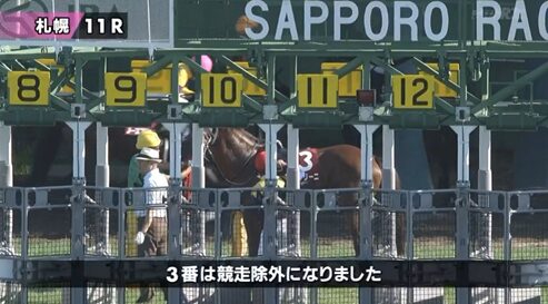 ボッケリーニ絡みの馬券20億円位あったのか　他