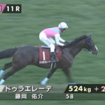 ドゥラエレーデ大好きワイ近ごろかなしい