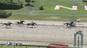 【土曜新潟2R】菅原隆一の馬券内、新馬以外だと3年ぶりか