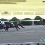 【サマーチャンピオン2024】結果・動画/アラジンバローズが差し切る