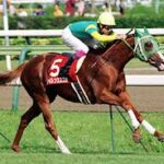 競馬ってなんで1-1-1-1で常に先頭走って勝つ馬でてこないの