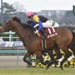 元の名前のほうが好きなレース