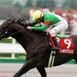 シンボリクリスエスに有馬記念で先着出来る馬っておる?