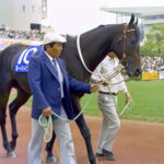 歴代最強1800馬決定戦 エルパサvsネハシザー