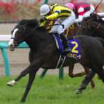 牡馬っぽい名前の牝馬、もしくは牝馬っぽい名前の牡馬