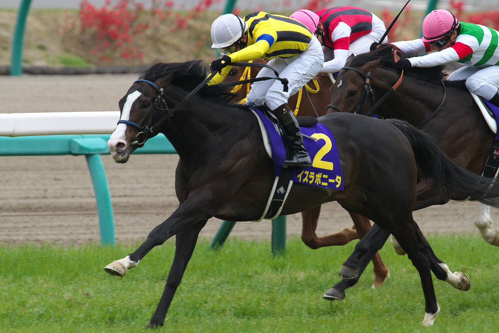 牡馬っぽい名前の牝馬、もしくは牝馬っぽい名前の牡馬