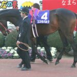 コスモバルクってもう少しなんとかならなかったのか?