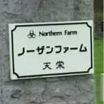 日本の馬ってなんでゆとりローテばっかで出走数少ないのはなぜ??