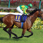 サトノダイヤモンド種牡馬大成功確定www