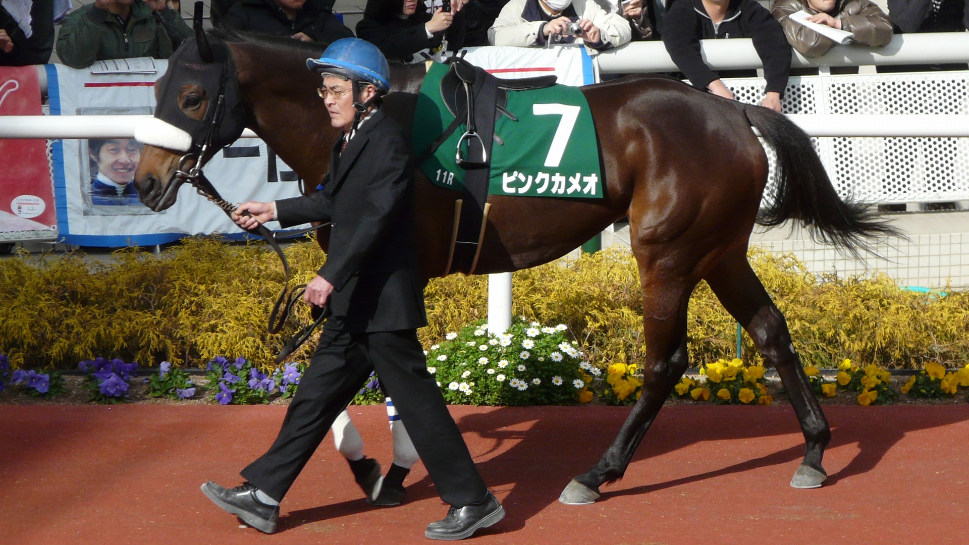 変馬名、珍馬名派なかなか大成しない