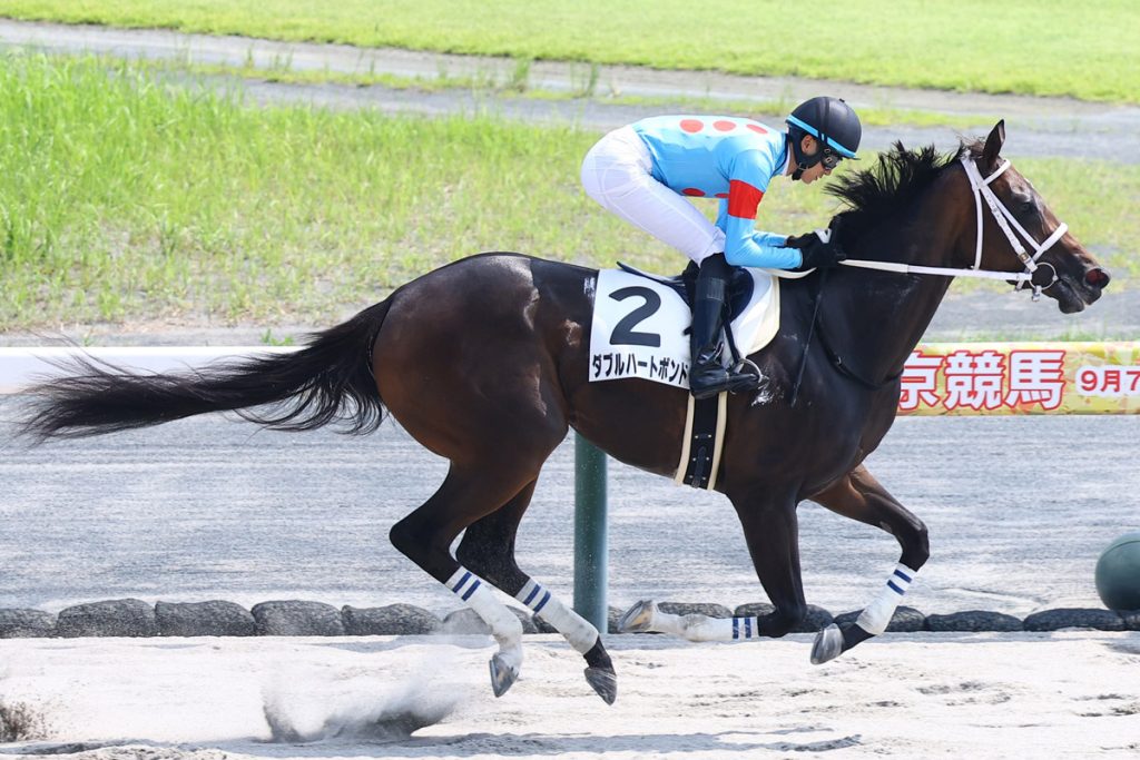 キズナ産駒の大物ダブルハートボンドが骨折