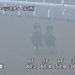 【オールカマー2024】追い切り/抜群の動きを見せたのは