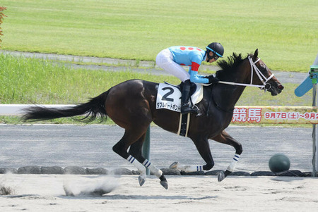 新馬、1勝クラス圧勝したダブルハートボンドが骨折