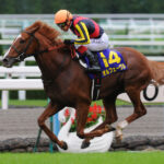 10年以上オルフェ最強と言い続けてきた競馬板民が突然手のひらを返した理由