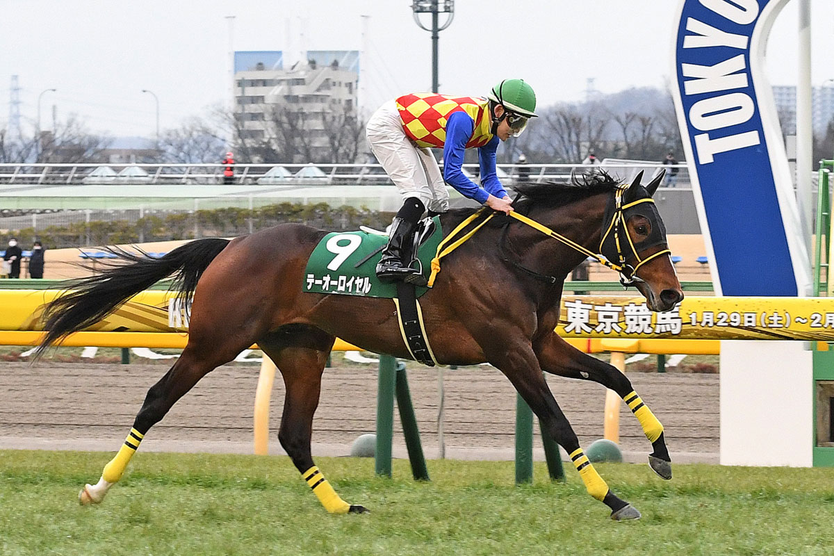 横山武史さん京都大賞典テーオーロイヤルもゲット　菱田負傷のため