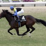 競馬素人ほどディープを絶賛する理由ってなんなの?