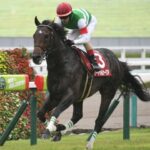 神戸新聞杯を一番強い勝ち方をした馬