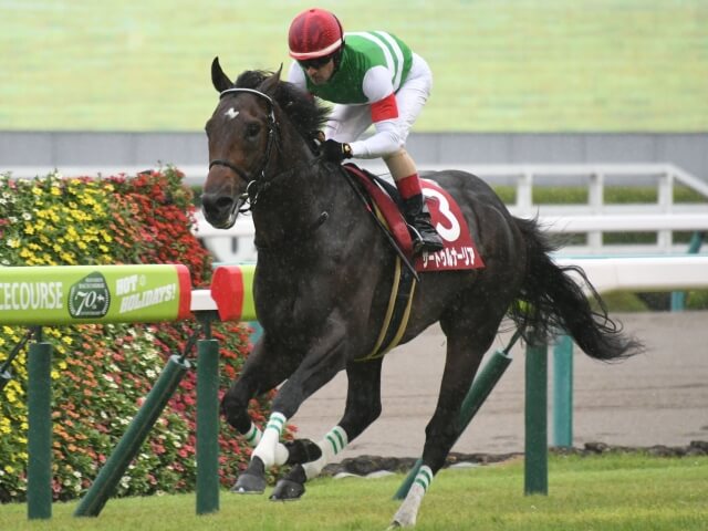 神戸新聞杯を一番強い勝ち方をした馬