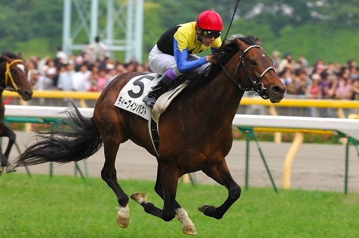 それでは90年以降でダービーと有馬記念を勝った馬をご覧ください