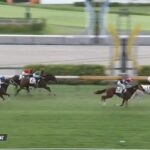 【競馬】白毛のゴージャスが新馬勝ち