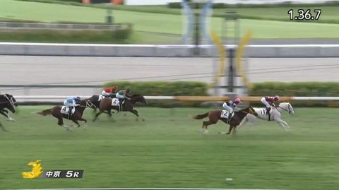 【競馬】白毛のゴージャスが新馬勝ち