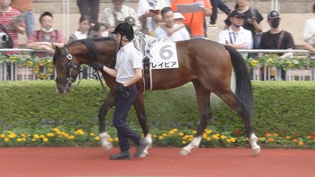 【競馬予想】第44回小倉2歳ステークス(GⅢ) /2024