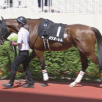 【神戸新聞杯】1番人気メリオーレム川田w w w w w