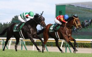 【新潟記念】8番人気のシンリョクカがV!初重賞制覇