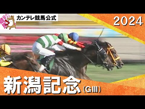 2024年 新潟記念(ＧⅢ)  シンリョクカ【カンテレ公式】