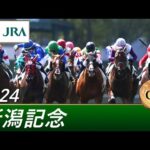 2024年 新潟記念(GⅢ) | 第60回 | JRA公式