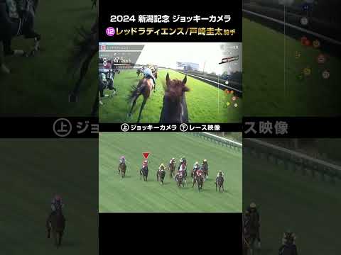 【ジョッキーカメラ×レース映像】2024年 新潟記念 レッドラディエンス 戸崎圭太騎手 #shorts ｜JRA公式