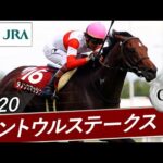 2020年 セントウルステークス(GⅡ) | ダノンスマッシュ | JRA公式