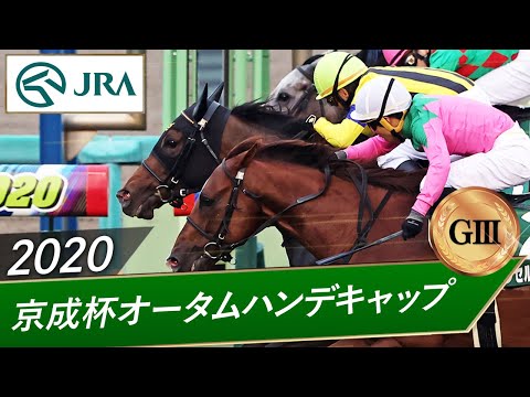 2020年 京成杯オータムハンデキャップ（GⅢ） | トロワゼトワル | JRA公式