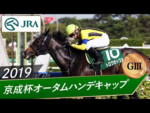 2019年 京成杯オータムハンデキャップ（GⅢ） | トロワゼトワル | JRA公式