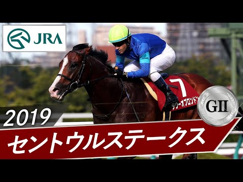 2019年 セントウルステークス（GⅡ） | タワーオブロンドン | JRA公式