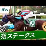 2020年 紫苑ステークス(GⅢ) | マルターズディオサ | JRA公式