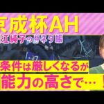 「普通はできることじゃない!」アスコリピチェーノ、ディオ、サンライズロナウド・・・京成杯オータムハンデキャップ(GⅢ)を元ジョッキーの細江純子さんが徹底解説!<細江純子のネタ帳>
