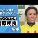 2024年 セントウルステークス(GⅡ) 勝利騎手インタビュー《菅原明良騎手》トウシンマカオ【カンテレ公式】