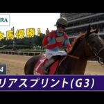 【日本馬が優勝】2024年 コリアスプリント(G3) | 現地実況 | JRA公式