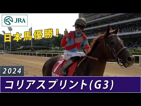 【日本馬が優勝】2024年 コリアスプリント（G3） | 現地実況 | JRA公式