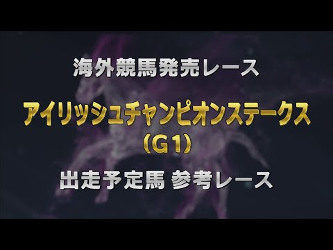 【参考レース】2024年 アイリッシュチャンピオンステークス（G1） ｜ JRA公式