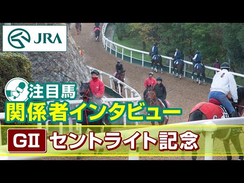 【注目馬 関係者インタビュー】2024年 セントライト記念｜JRA公式