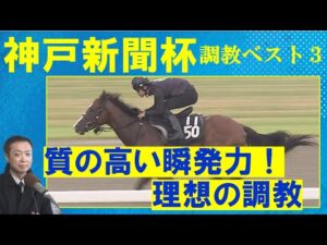 「夏を越えて一気に成長!」メリオーレム、ジューンテイク、メイショウタバル・・・競馬エイト・高橋賢司トラックマンの調教解説<神戸新聞杯(GⅡ)>