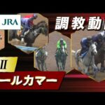 【調教動画】2024年 オールカマー|JRA公式