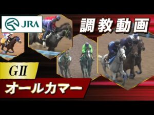 【調教動画】2024年 オールカマー|JRA公式