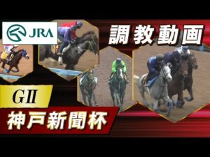 【調教動画】2024年 神戸新聞杯|JRA公式